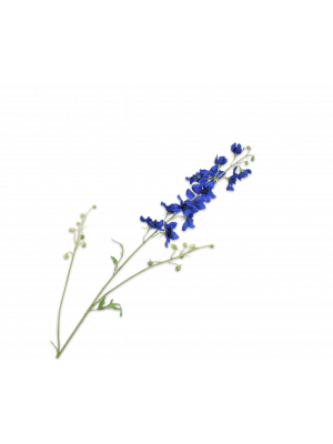 Silk-ka | Delphinium Tak Blauw | 122cm