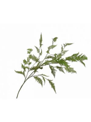Silk-ka | Asparagus Tak Groen | 167cm