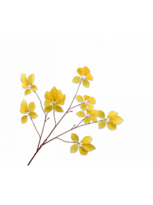 Silk-ka | Bladtak Geel | 103cm