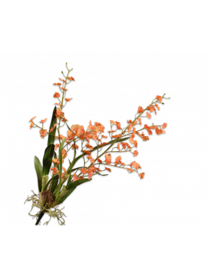 Silk-ka | Oncidium Tak Oranje | 84cm