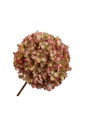 Silk-ka | Hortensia |Roze / Groen | 70 cm