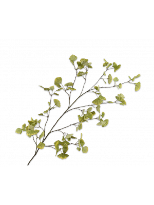 Silk-ka | Ginkgo tak | Groen | 168cm