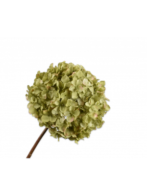 Silk-ka | Hortensia | Groen  | 79 cm