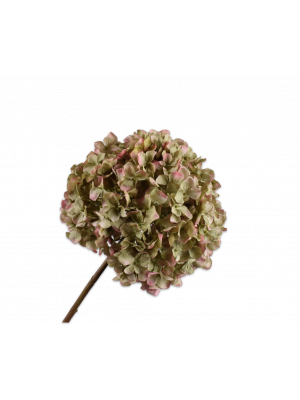 Silk-ka | Hortensia | Groen / Roze | 70 cm