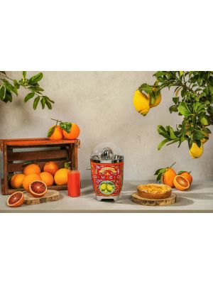 Dolce & Gabbana | Citruspers