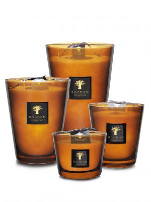 Baobab Collection |Les Prestigieuses | Cuir de Russie