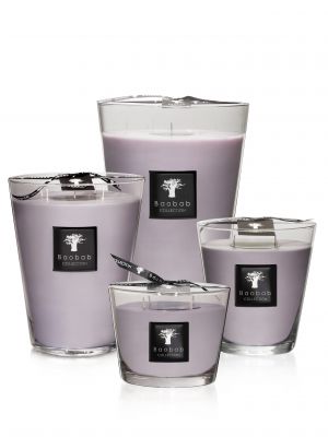 Baobab Collection | All Seasons | White Rhino