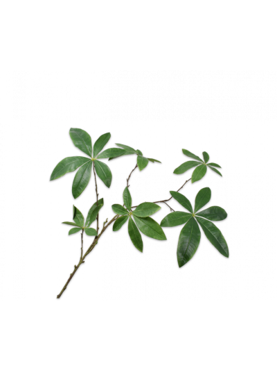 Silk-ka Bladtak Groen 147cm - Vorspaget Home