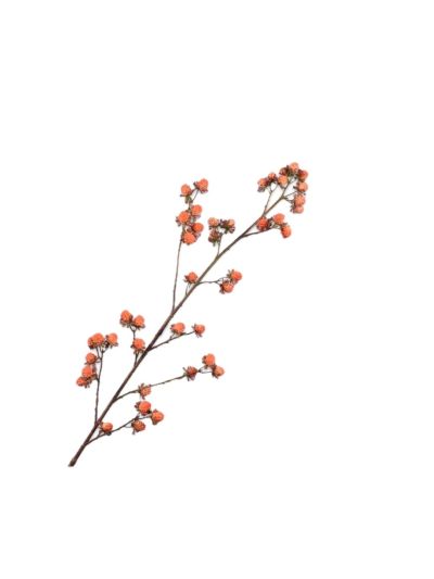 Silk-ka | Bramen Tak Oranje | 113cm | Vorspaget Home