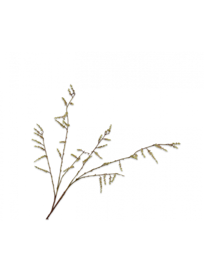 Silk-ka | Wilgentak Groen | 127cm