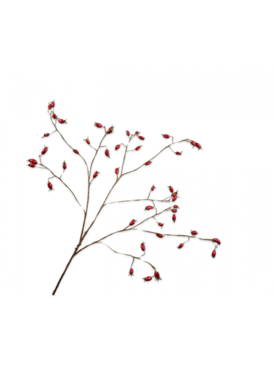 Silk-ka Rozenbottel Rood 106cm - Vorspaget Home