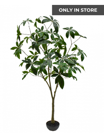 Silk-ka | Pachira | Groen | 205cm | ONLY IN STORE