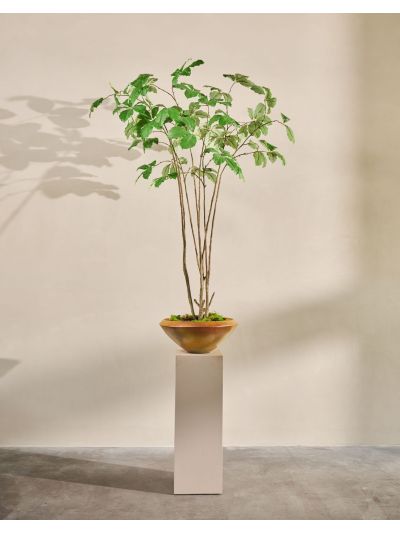 Silk-ka | Kastanje I/Pot | Groen | 230cm | Only in store!