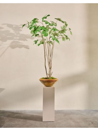 Silk-ka Kastanje Groen 230cm - Vorspaget Home