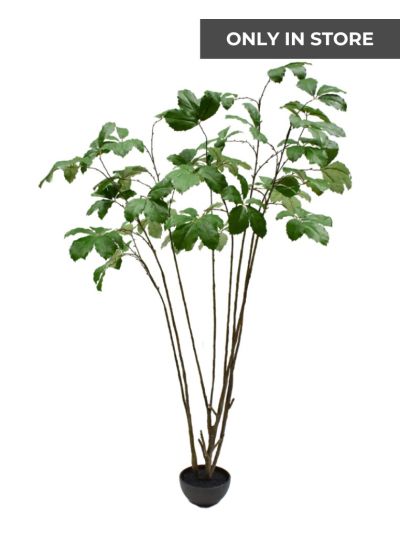 Silk-ka Kastanje Groen 230cm - Vorspaget Home