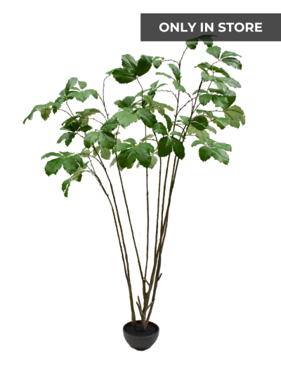 Silk-ka | Kastanje I/Pot | Groen | 230cm | Only in store!