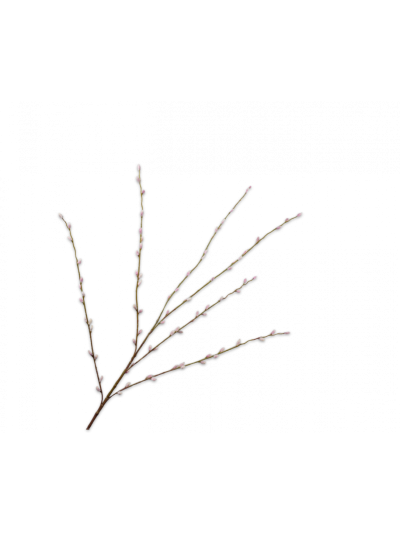 Silk-ka | Wilgentak Roze/groen | 111 cm | Vorspaget Home