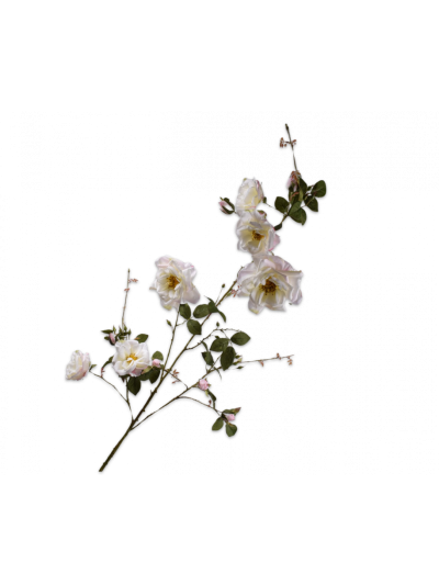 Silk-ka Roos Tak Wit 160cm - Vorspaget Home