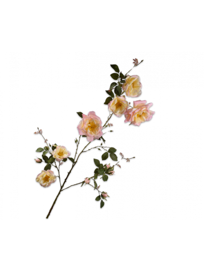 Silk-ka Roos Tak Roze/Geel 160cm - Vorspaget Home