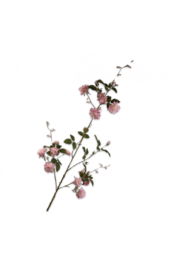 Silk-ka Roos Tak Roze 153cm - Vorspaget Home