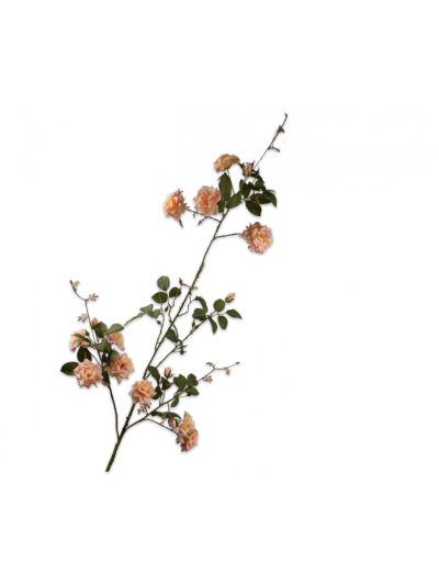 Silk-ka Roos Tak Perzik 153cm - Vorspaget Home