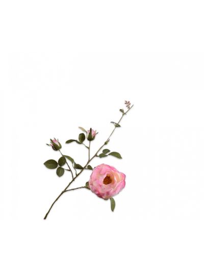 Silk-ka Roos Tak Roze 80cm - Vorspaget Home
