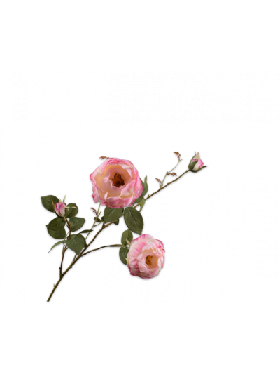 Silk-ka Roos Tak Roze 102cm Vorspaget Home