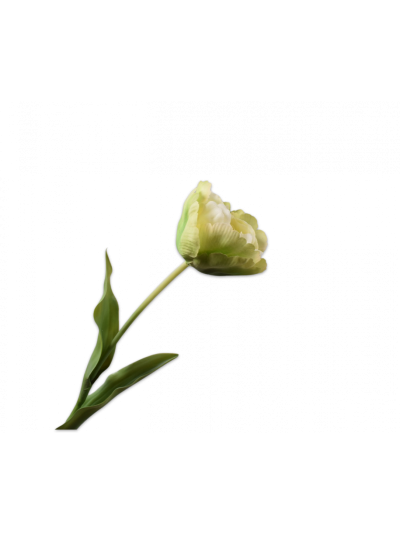 Silk-ka Tulp Steel Groen/Wit 84cm - Vorspaget Home