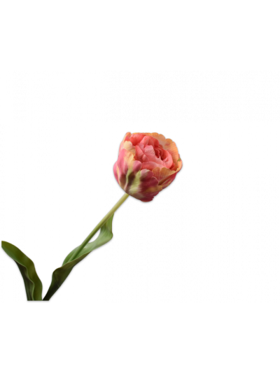 Silk-ka Tulp Steel Roze/Geel 84cm - Vorspaget Home