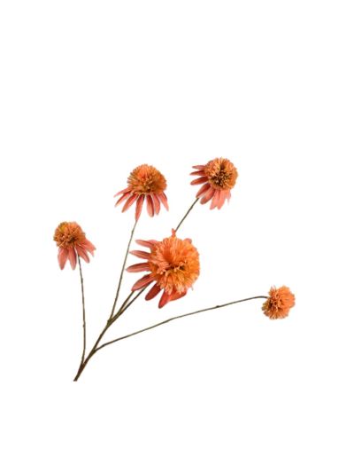 Silk-ka Rudbeckia Tak Zalm 90cm - Vorspaget Home