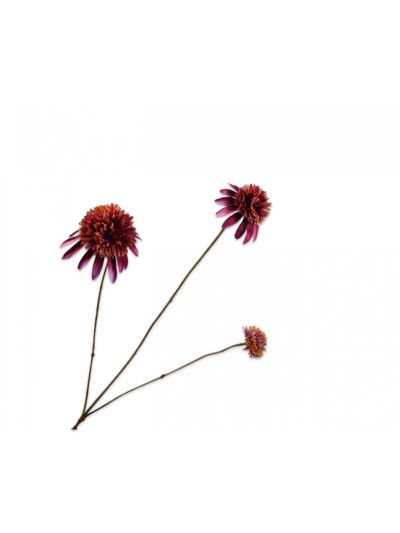 Silk-ka Rudbeckia Tak Paars 66cm - Vorspaget Home