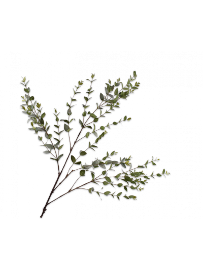 Silk-ka Bladtak Groen 137cm - Vorspaget Home