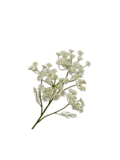 Wedding Gift Z&S | Silk-ka | Dille Tak | Crème | 79cm