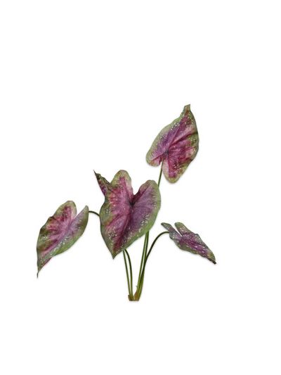 Silk-ka Caladium Bush Paars Groen Real Touch 81 cm kunstplant - Vorspaget Home