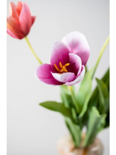 Silk-ka Tulp Steel Paars 84cm - Vorspaget Home