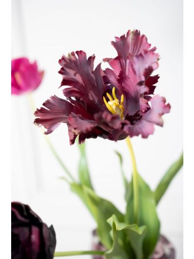 Silk-ka Tulp Steel Bordeaux 71cm - Vorspaget Home