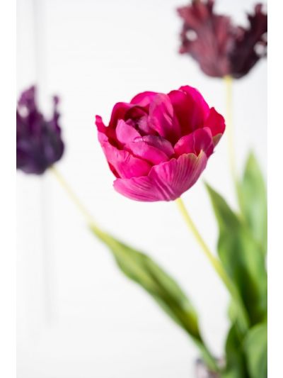 Silk-ka Tulp Steel Beauty 82cm - Vorspaget Home