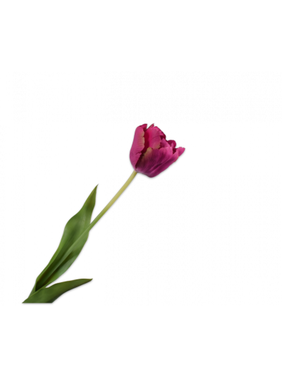 Silk-ka Tulp Steel Beauty 82cm - Vorspaget Home