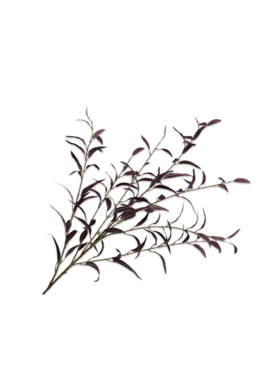 Silk-ka Eucalyptus Tak Bordeaux 123 cm - Vorspaget Home