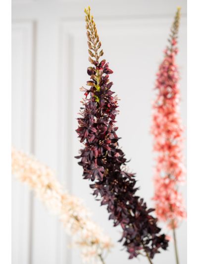 Silk-ka Eremurus Steel Bordeaux 109 cm - Vorspaget Home