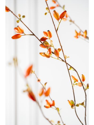 Silk-ka Rozenbottel Tak Oranje 121 cm - Vorspaget Home
