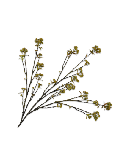 Silk-ka Kastanje Tak Groen 148 cm - Vorspaget Home