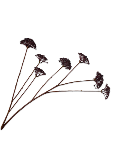 Silk-ka Dille Tak Paars 105 cm zijde bloem - Vorspaget Home