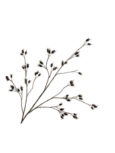 Silk-ka Rozenbottel Tak Paars 126 cm zijde bloem - Vorspaget Home