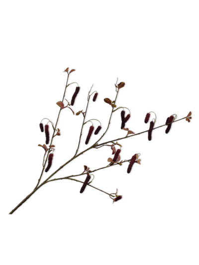 Silk-ka Alnus Tak Bordeaux 113 cm zijde bloem - Vorspaget Home