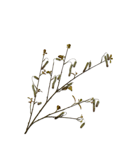 Silk-ka Alnus Tak Groen 113 cm zijde bloem - Vorspaget Home