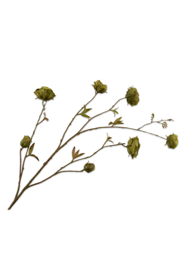 Silk-ka Roos Tak Groen Real Touch 117 cm zijde bloem - Vorspaget Home