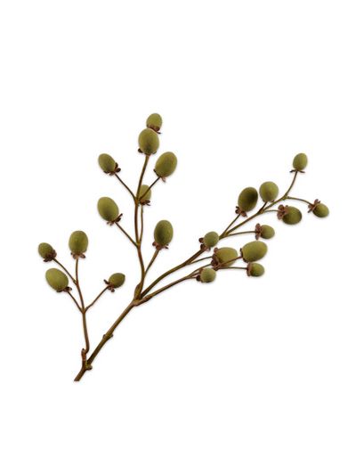 Silk-ka | Fruittak Kiwi | Groen/Bruin | 76 cm