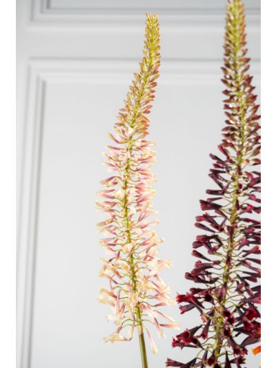 Silk-ka Eremurus Steel Roze Crème 109 cm zijde bloem - Vorspaget Home
