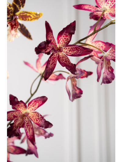 Silk-ka Oncidium Steel Beauty Real Touch 109 cm zijde orchidee - Vorspaget Home